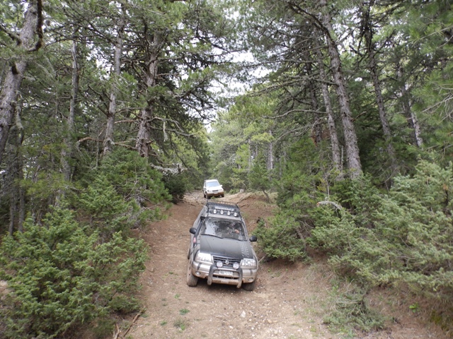 P4060814.JPG